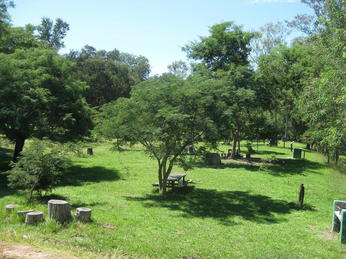 Foto de Camping Zona de Campamento - Parque Nacional Chaco en Parque Nacional Chaco, Capitán Solari, Chaco, Argentina