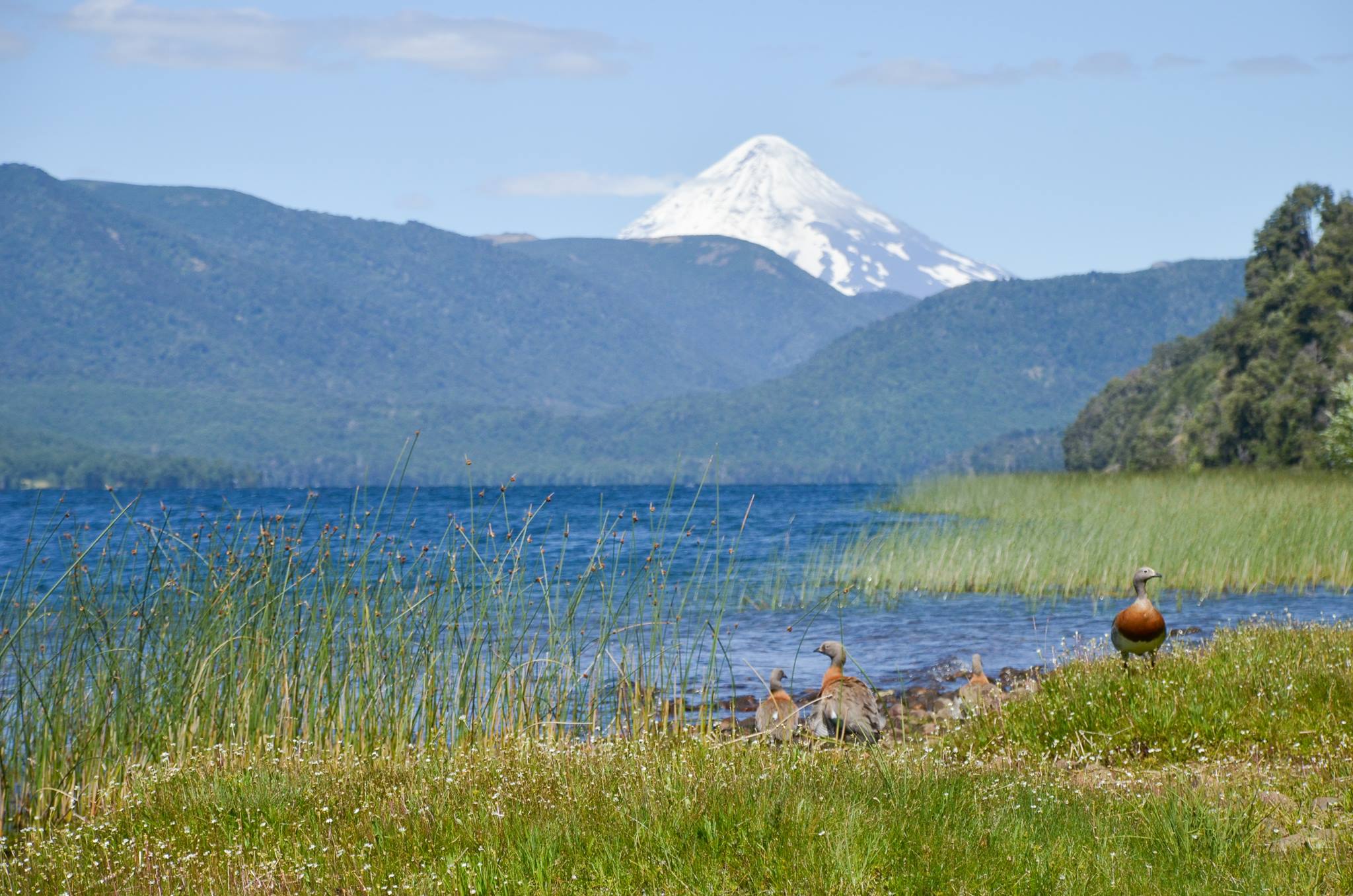 Foto de Camping Quillén - Aluminé en Camping Lago Quillén, Neuquén, Argentina