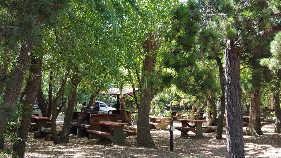 Foto de Camping Nueva Atlantis - Mar de Ajó en Camping Nueva Atlantis, Hipólito Yrigoyen, Nueva Atlantis, Provincia de Buenos Aires, Argentina