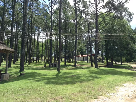 Foto de Camping Tannenwald - Los Reartes en Camping Tannenwald, Córdoba, Argentina
