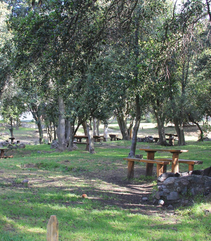 Foto de Camping Costa Traful - Villa Traful en COSTA TRAFUL, Neuquén, Argentina