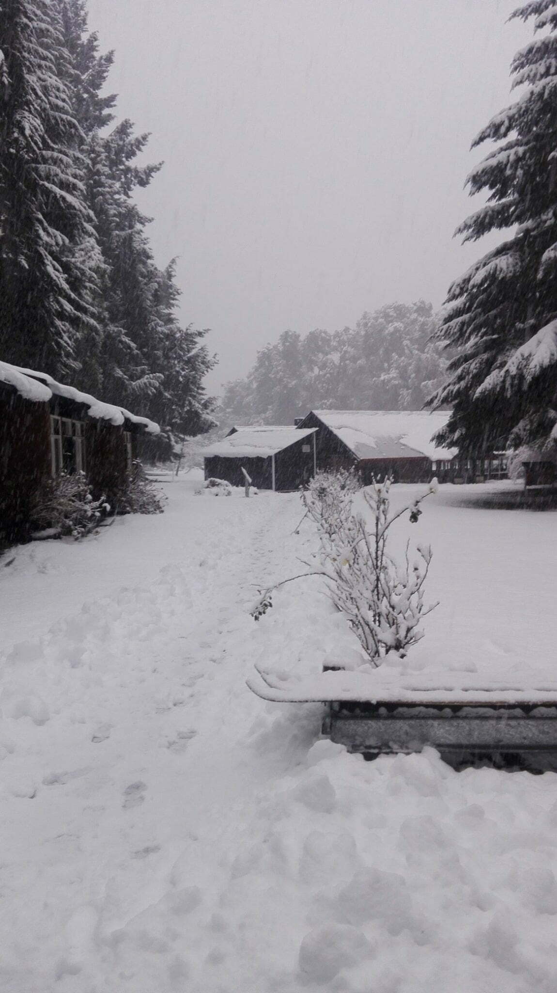 Foto de Camping Inacayal - UBA - Villa La Angostura en Inacayal - UBA,Villa La Angostura,Neuquén