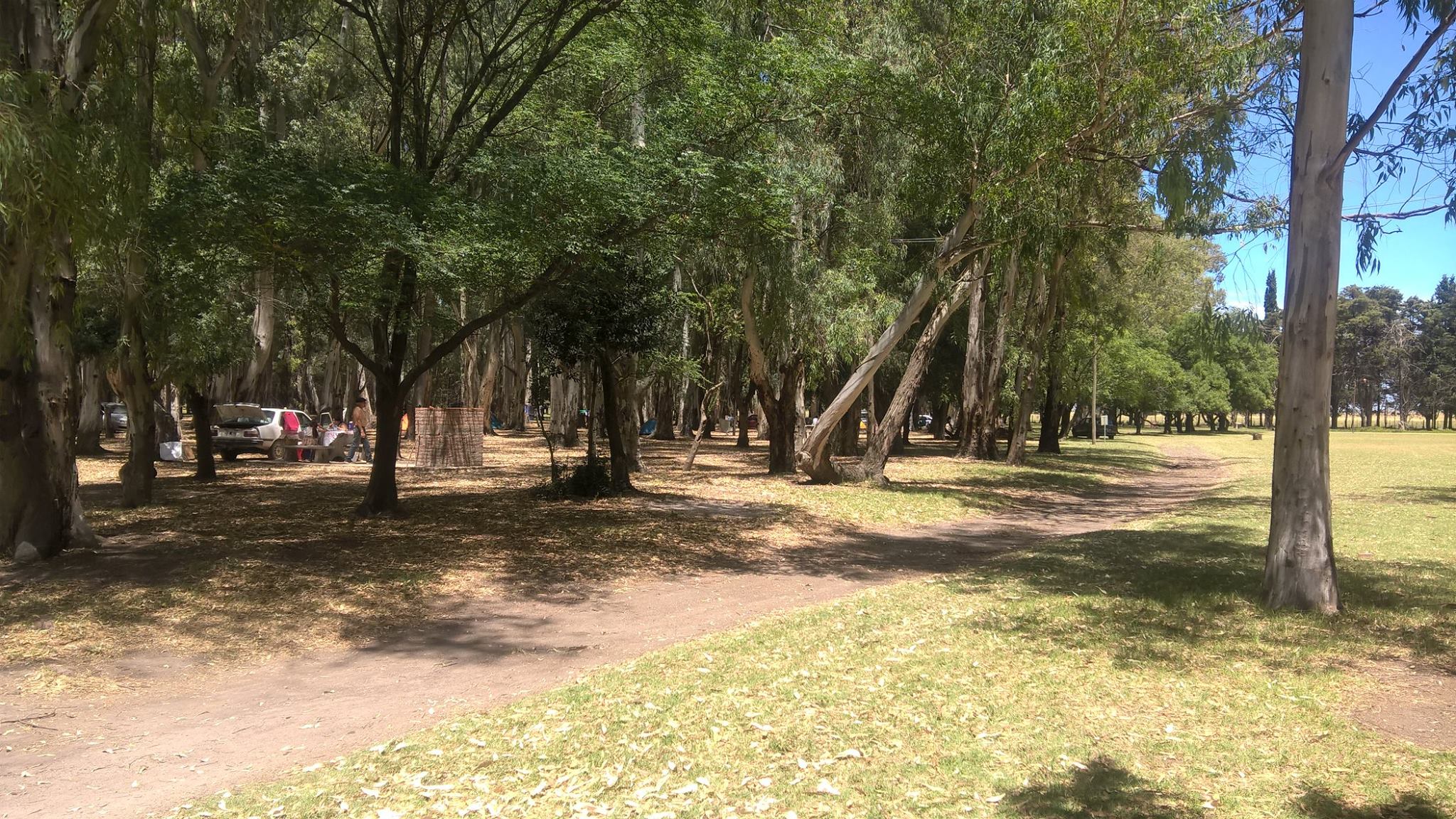 Foto de Camping La Chacra Carhué - Carhué en Camping Municipal la Chacra, Carhué, Provincia de Buenos Aires, Argentina