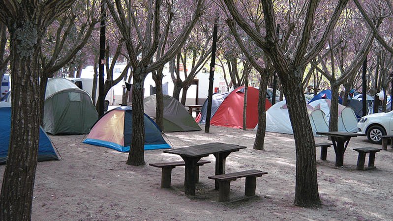 Foto de Camping Los Tres Pinos - San Clemente del Tuyú en Camping LOS 3 PINOS, Avenida XII, San Clemente del Tuyu, Buenos Aires, Argentina