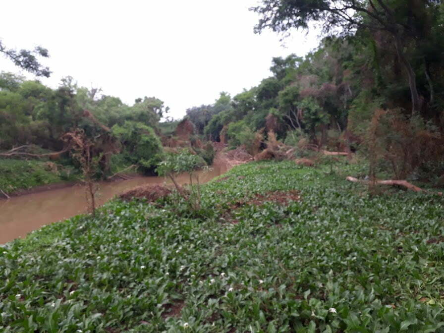 Foto de Camping Tigre Ã‘ato