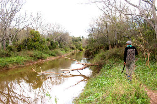 Foto de Camping Tigre Ã‘ato