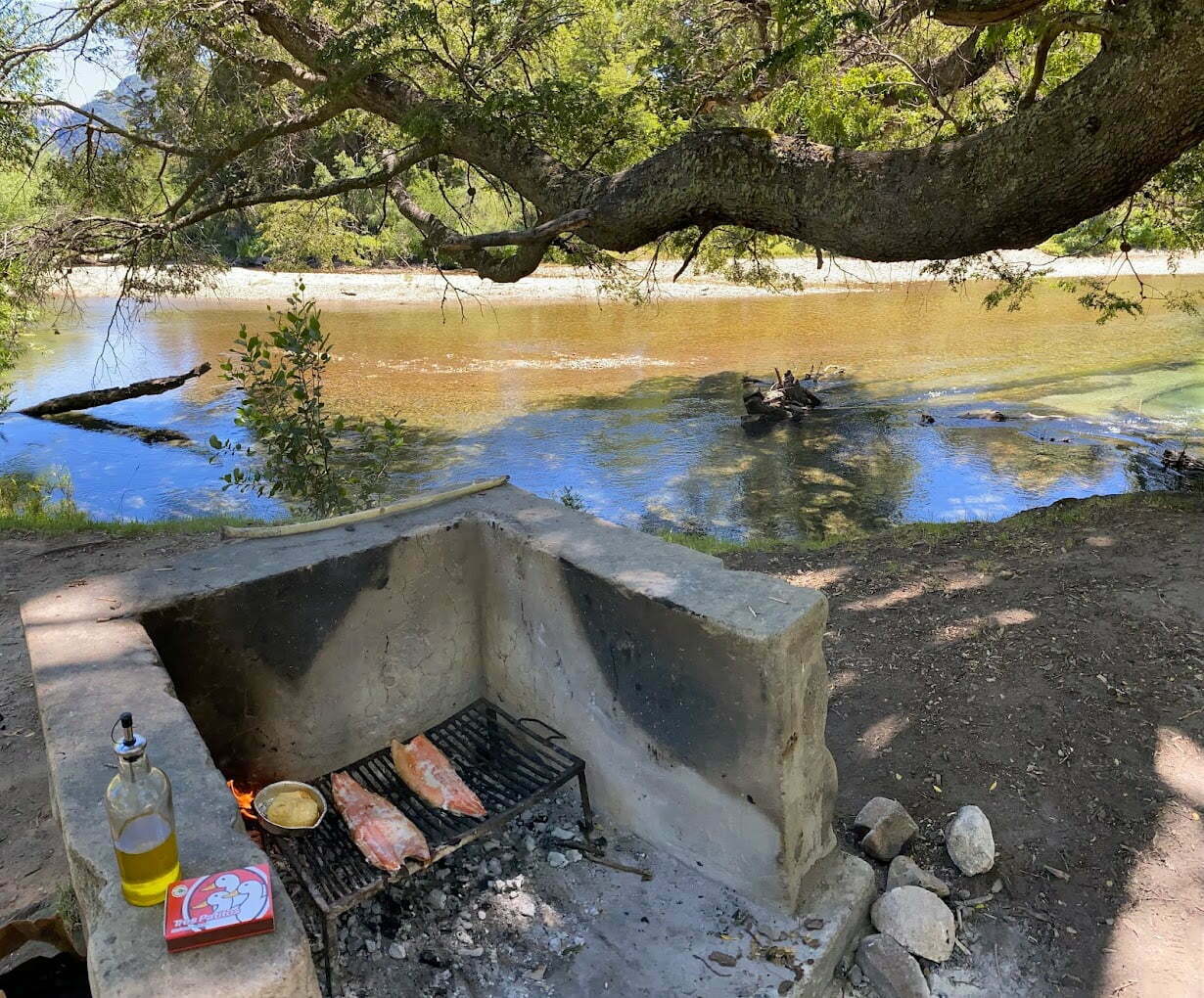 Foto de Camping Pichi Traful - Villa Traful en Pichi Traful,Villa Traful,Neuquén